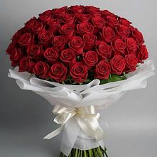 Букет 101 Красная роза Блэк Мэджик в Янкуле