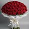 Букет 101 Красная роза Блэк Мэджик в Янкуле