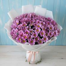 Букет цветов из:  Хризантемы в Янкуле