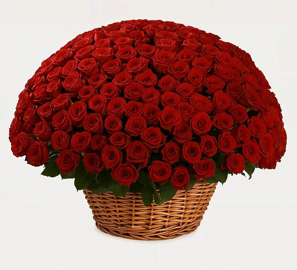 Премиум букет из: Розы в Янкуле