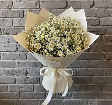 Букет цветов из:  Ромашки #REPLACE_PRED# Янкуле