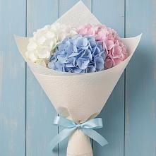 Букет цветов из:  Гортензия в Янкуле