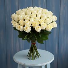 Букет 51 Белая роза Эдлесс Лав #REPLACE_PRED# Янкуле