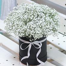 Цветочная композиция из Гипсофила в шляпной коробке #REPLACE_PRED# Янкуле