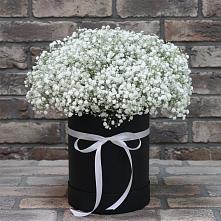 Цветочная композиция из Гипсофила в шляпной коробке #REPLACE_PRED# Янкуле