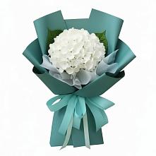 Букет цветов из:  Гортензия в Янкуле